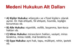 Medeni Hukukun alt dalları nelerdir?